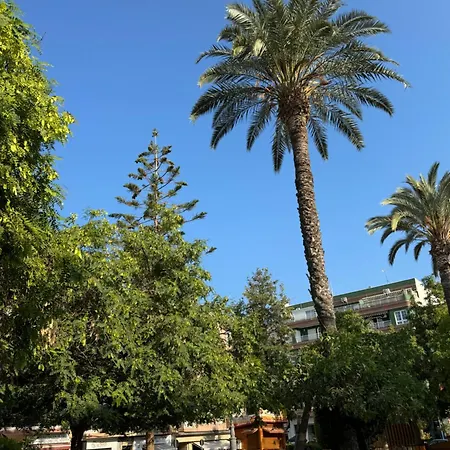 Viola Апартаменты