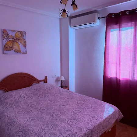 Viola * Торевьиа